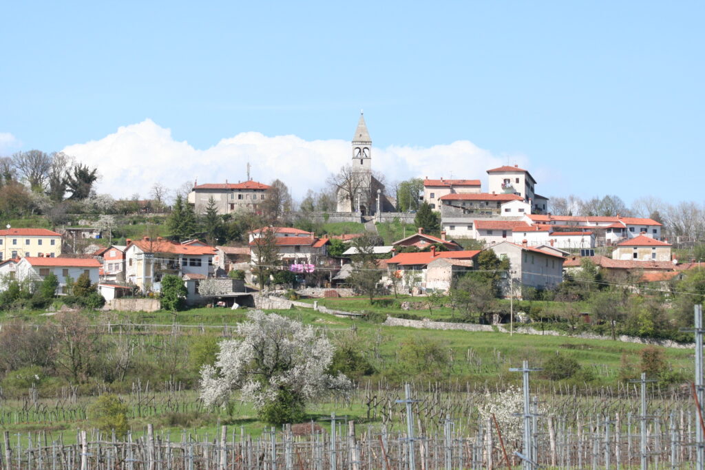 ZAČELA JE POMLAD (1) ZACELA JE POMLAD 1 1024x683